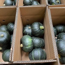 贝贝南瓜，黑金、板栗大量上市，电商代发、落地配社区团购