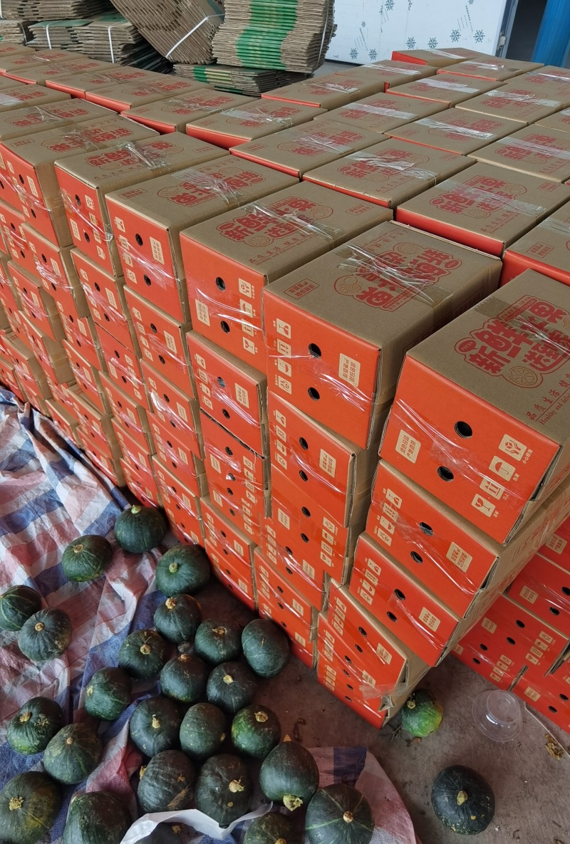 贝贝南瓜，黑金、板栗大量上市，电商代发、落地配社区团购