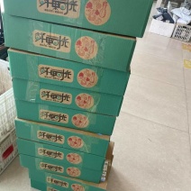 蒙阴蜜桃黄油桃水蜜桃油蟠桃