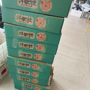 蒙阴蜜桃黄油桃水蜜桃油蟠桃