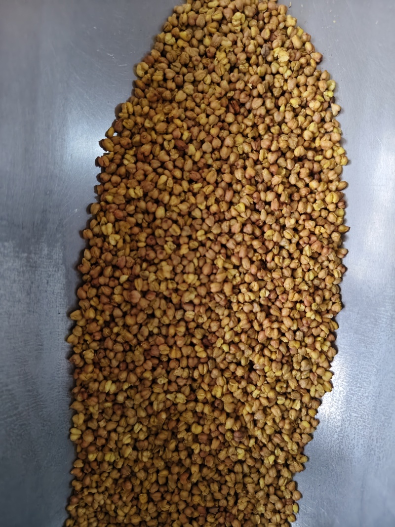 苦荞黑苦荞茶批发烘焙苦荞米饭店家备量大运费可谈