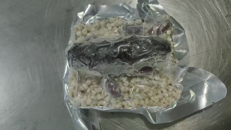 海参小米粥，金汤杂粮，用海参筒骨土鸡鲜炖熬制汤底。