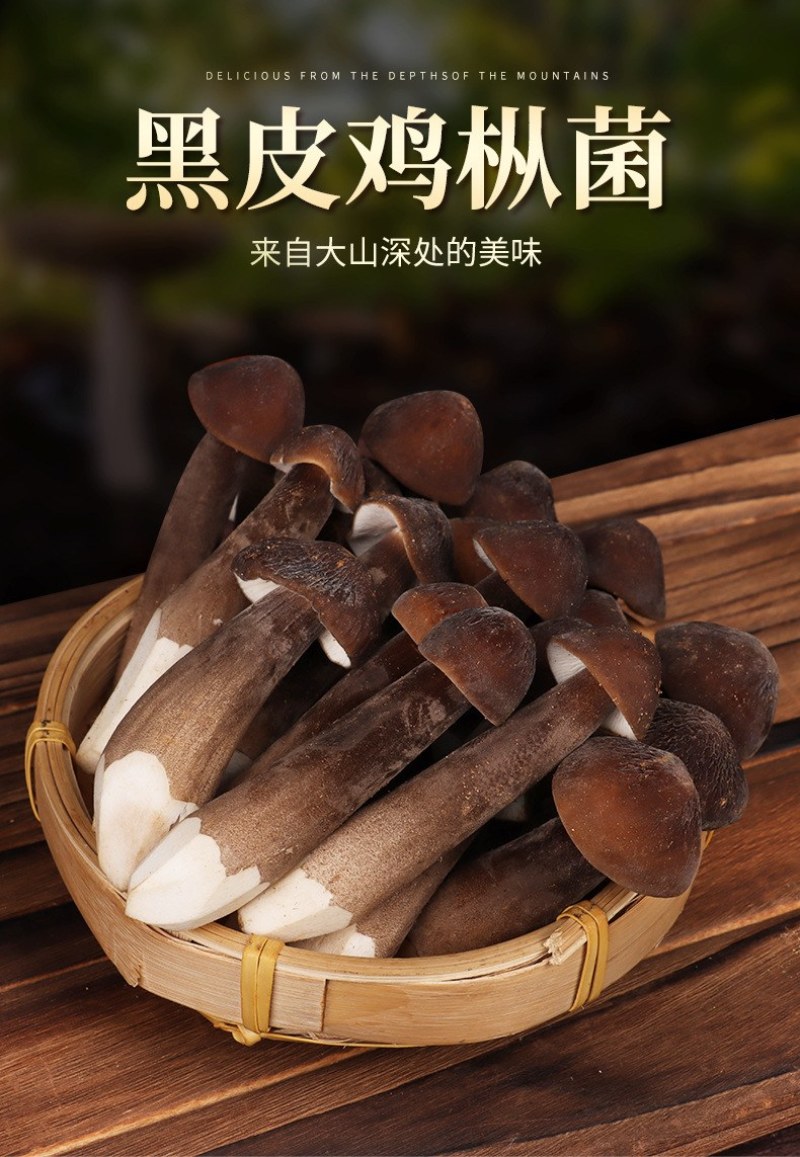 新鲜黑皮鸡枞菌云南特产鸡枞菇黑皮鸡枞食用菌煲汤食材鲜菌菇