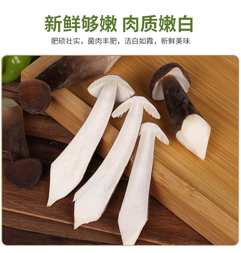 新鲜黑皮鸡枞菌云南特产鸡枞菇黑皮鸡枞食用菌煲汤食材鲜菌菇