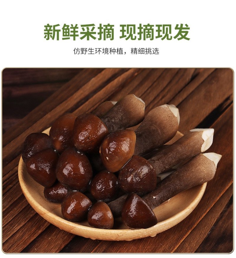 新鲜黑皮鸡枞菌云南特产鸡枞菇黑皮鸡枞食用菌煲汤食材鲜菌菇