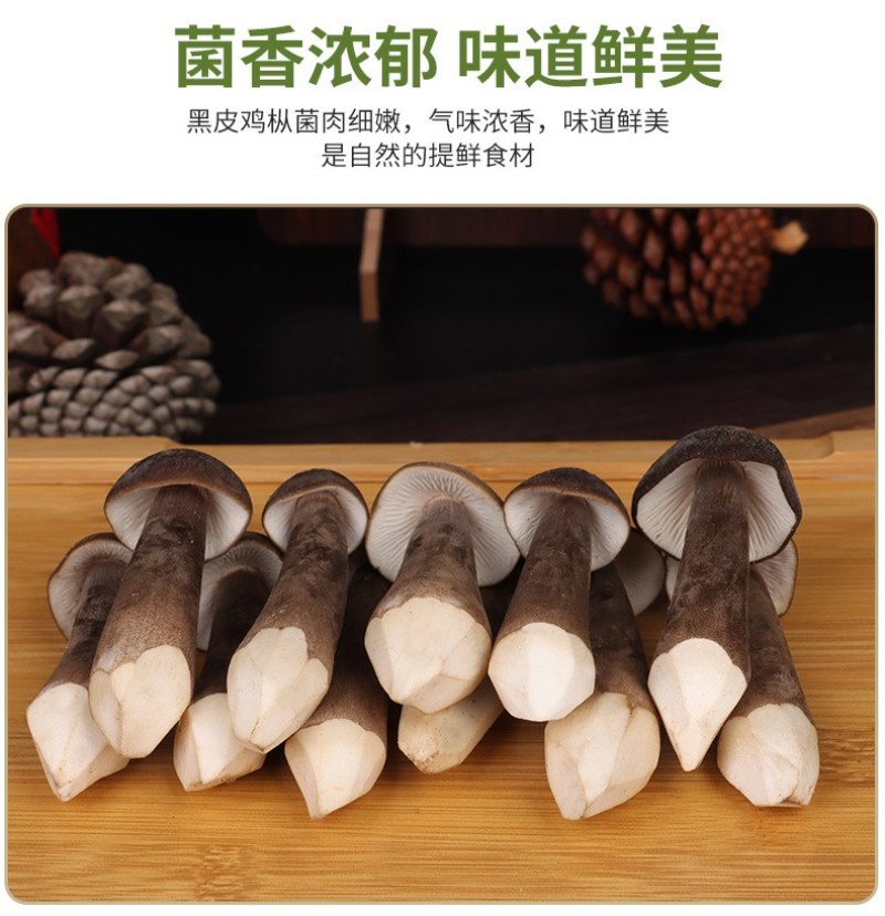 新鲜黑皮鸡枞菌云南特产鸡枞菇黑皮鸡枞食用菌煲汤食材鲜菌菇