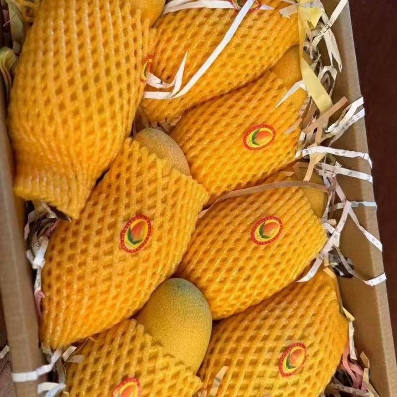 精品金煌芒源头产地全国可发对接各大商超可视频看货