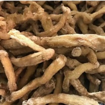 中药材精选特级湖南野生玉竹货真价实优选品质