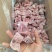 新货排骨粒