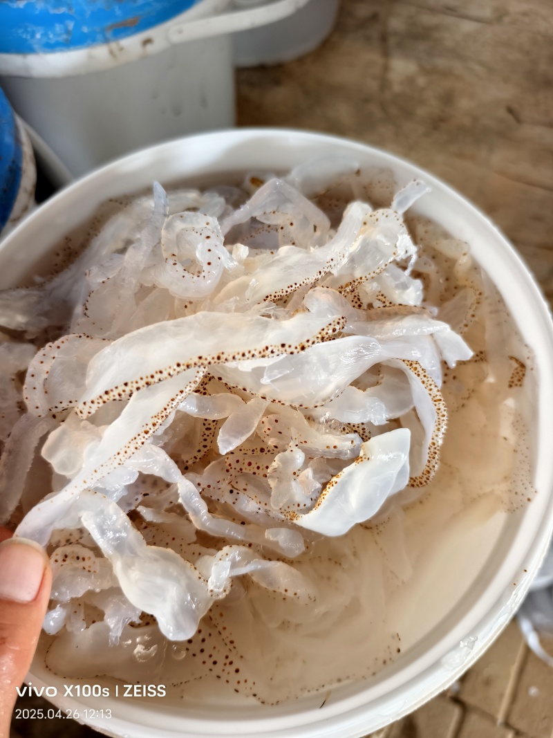 海蜇系列，货量充足，规格齐全，欢迎咨询