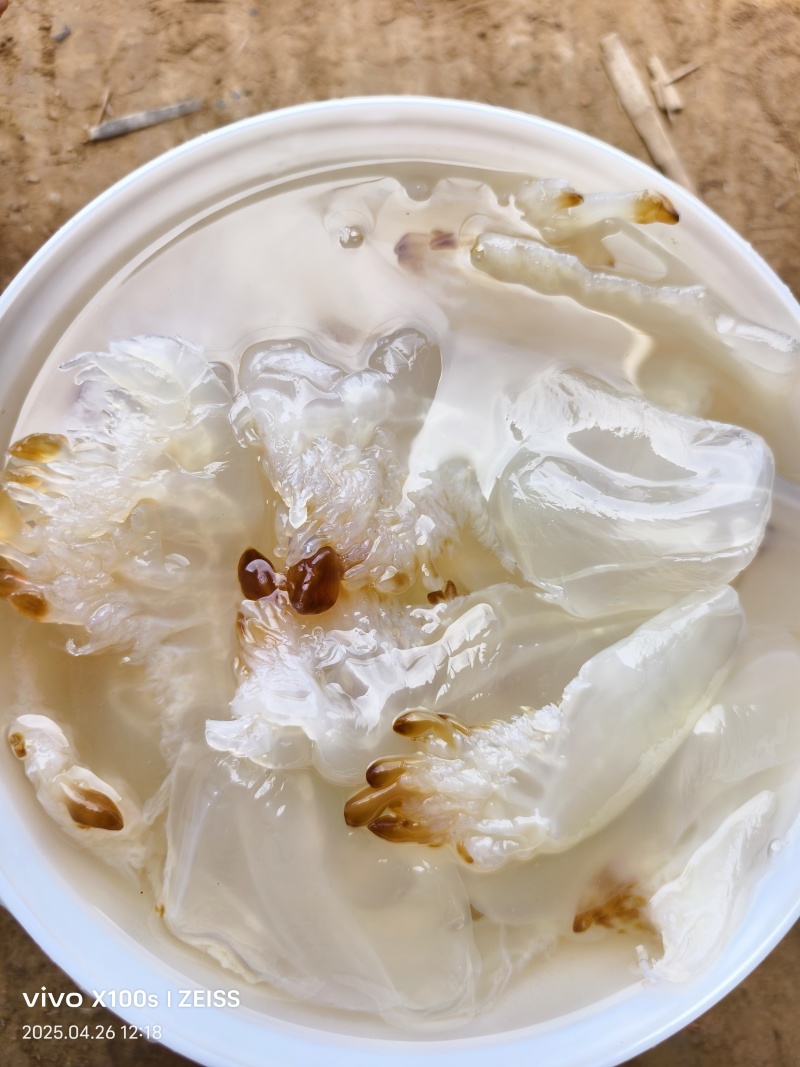海蜇系列，货量充足，规格齐全，欢迎咨询