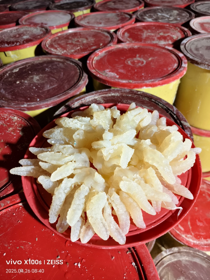 海蜇系列，货量充足，规格齐全，欢迎咨询