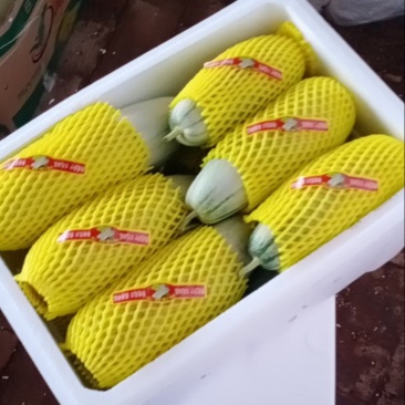 青县六一