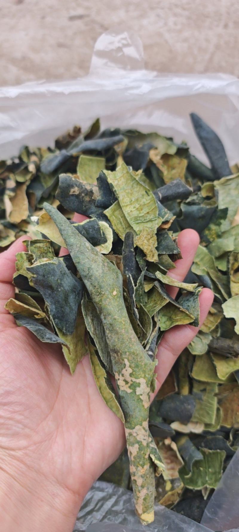 正品纯冬瓜皮1公斤干无硫冬瓜皮新鲜冬瓜皮茶冬瓜冬瓜皮搭荷叶
