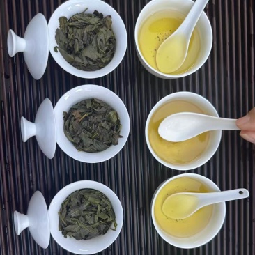 安溪铁观音