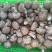 新鲜香菇源头批发4.2整车起订冷链直达全国