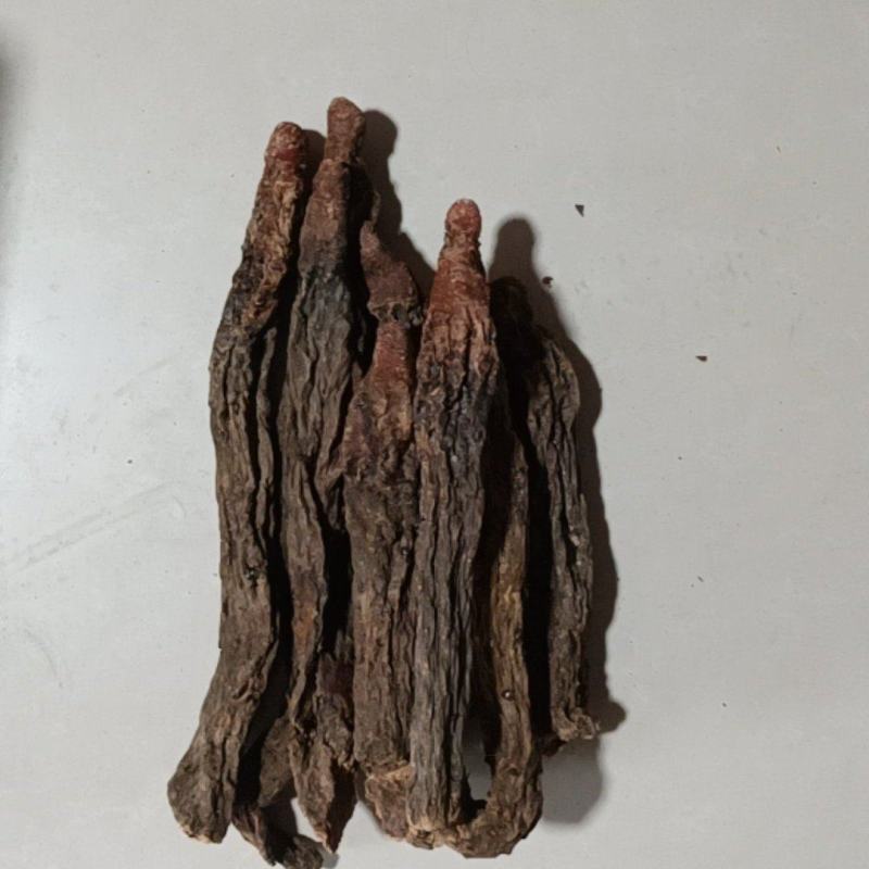 秋冬季锁阳基地直销量大质优价格优惠欢迎咨询采购