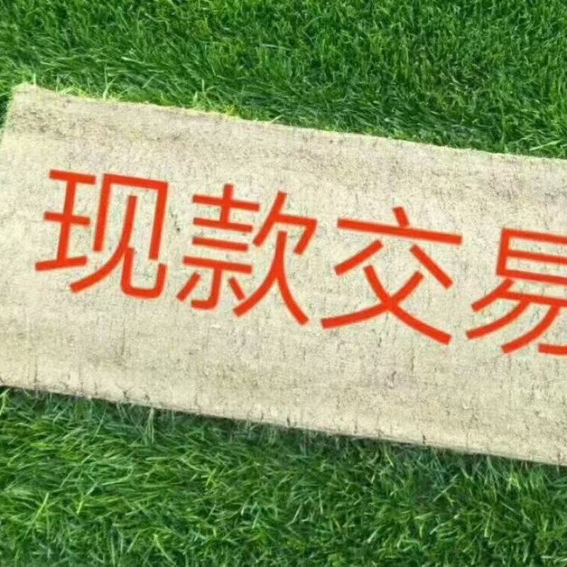 绿化草坪