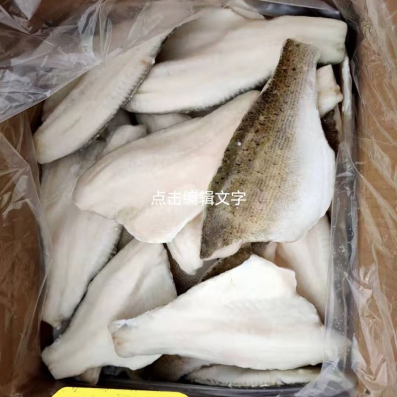 海鲈鱼片