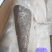 格陵兰比目鱼柳，带皮，去皮，特价供应