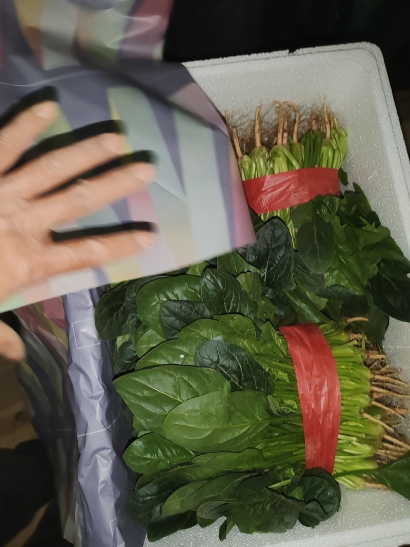 质优价廉