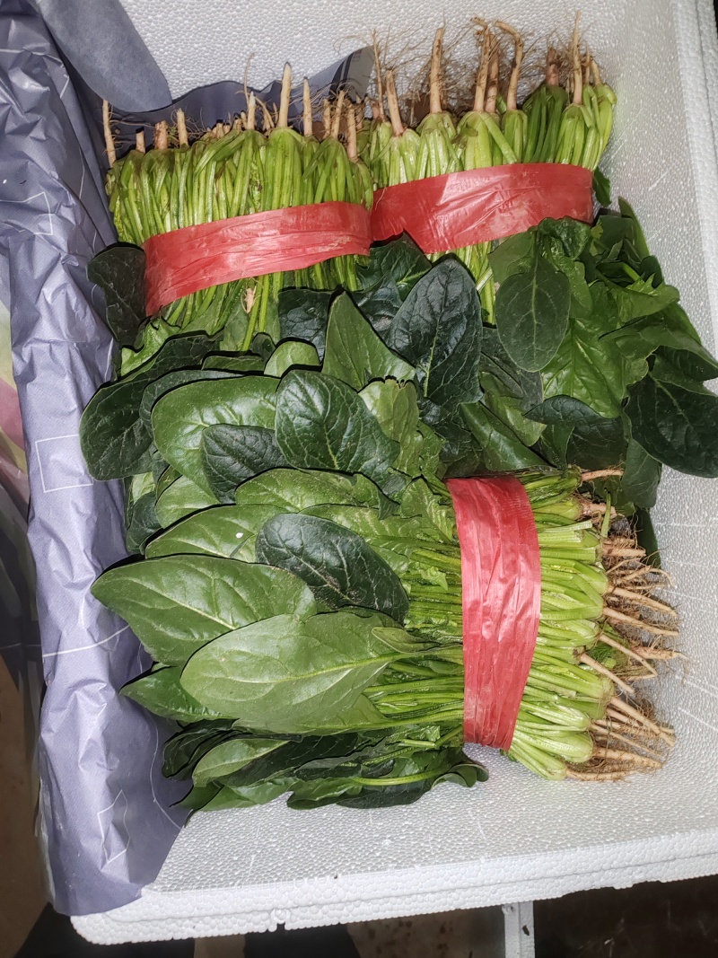 质优价廉