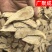 【实拍包邮】甘肃岷县当归当归片头片规格齐全批发