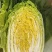 黄心白菜
