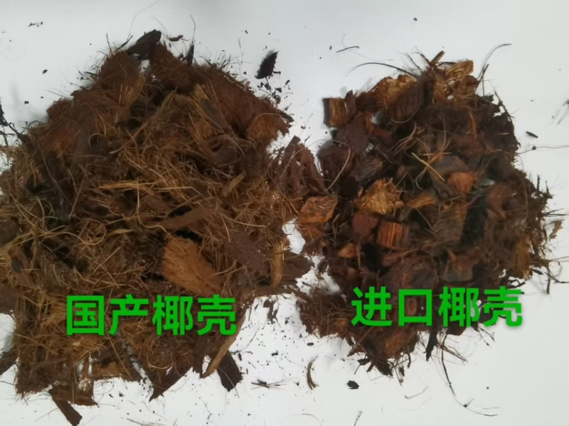 蓝莓专用低盐椰壳椰块