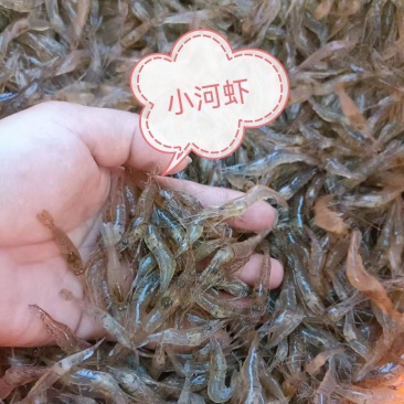精品河虾，冰鲜带走，还有各个规格，看上联系，期待合作