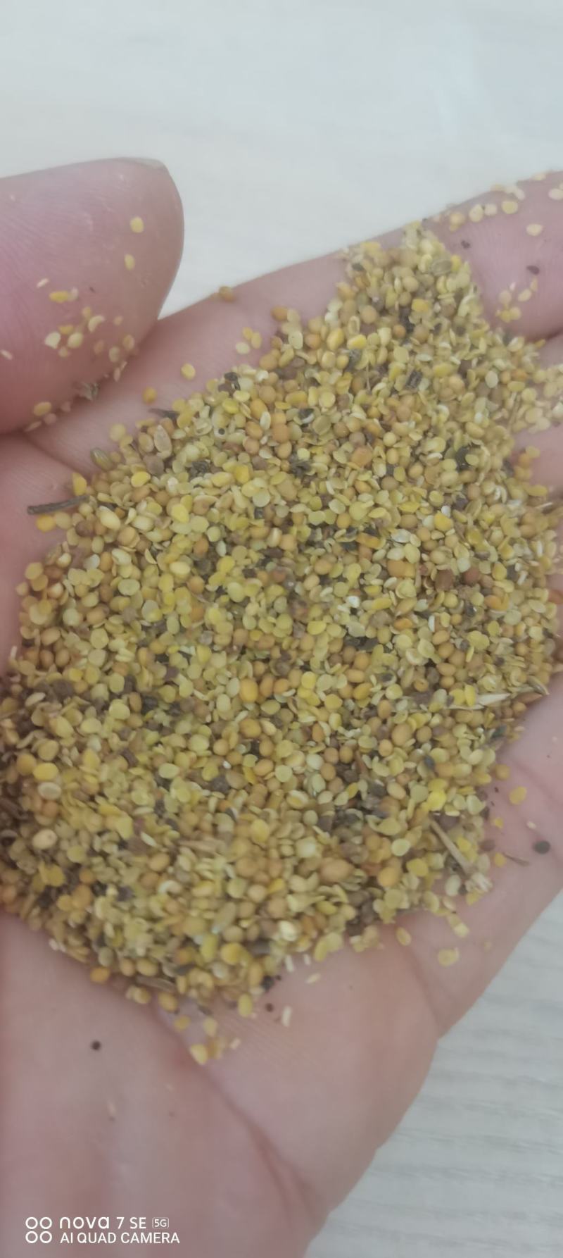 菜籽碎瓣