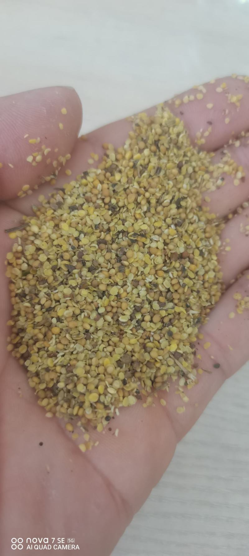 菜籽碎瓣