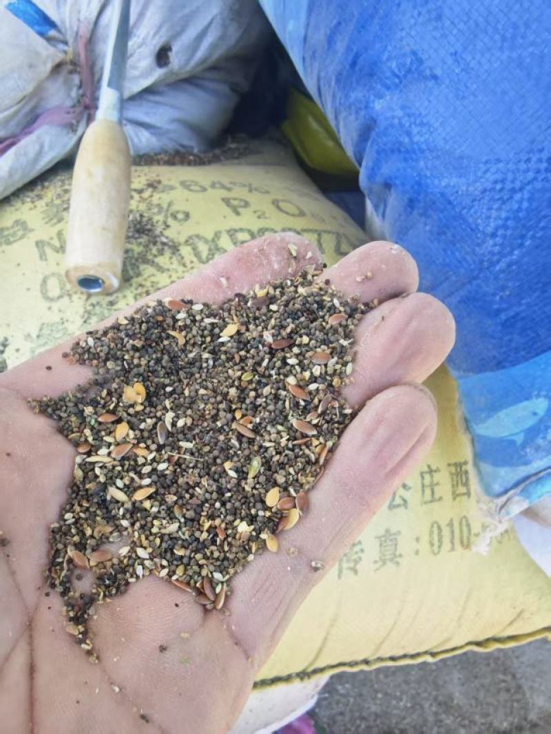 草籽菜籽下角料