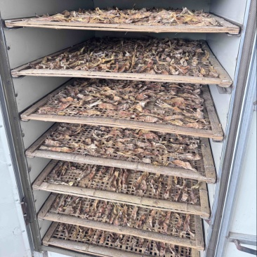 福建建瓯甜竹笋笋干