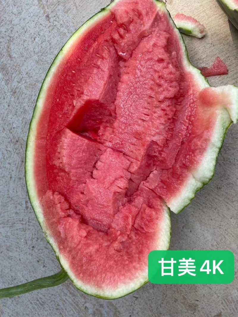 源头好瓜，产地一手货源，欢迎实地看货