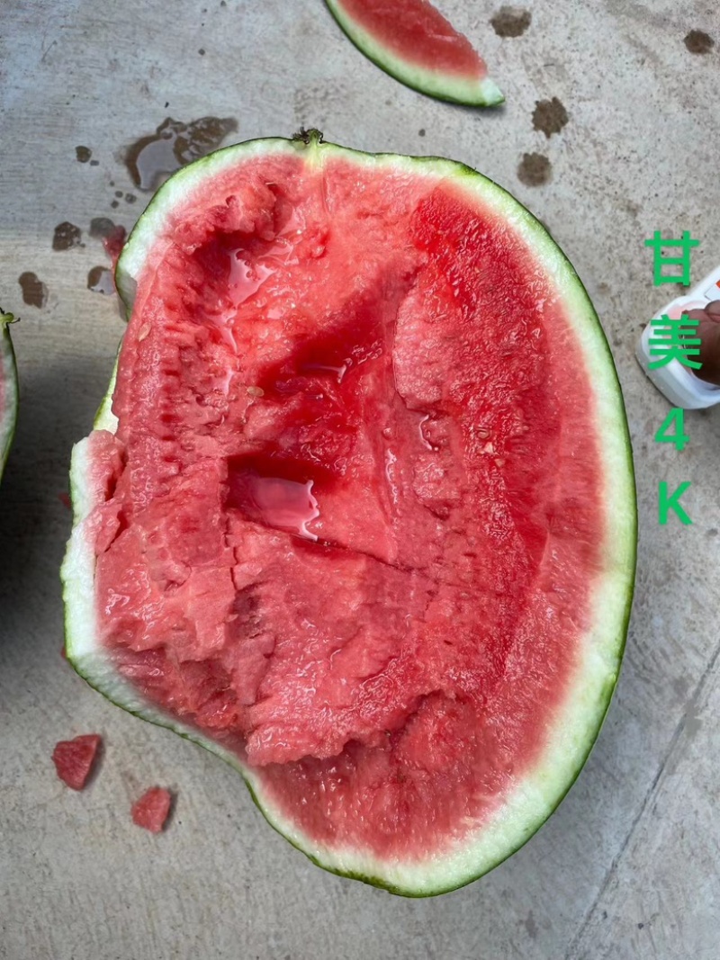 源头好瓜，产地一手货源，欢迎实地看货