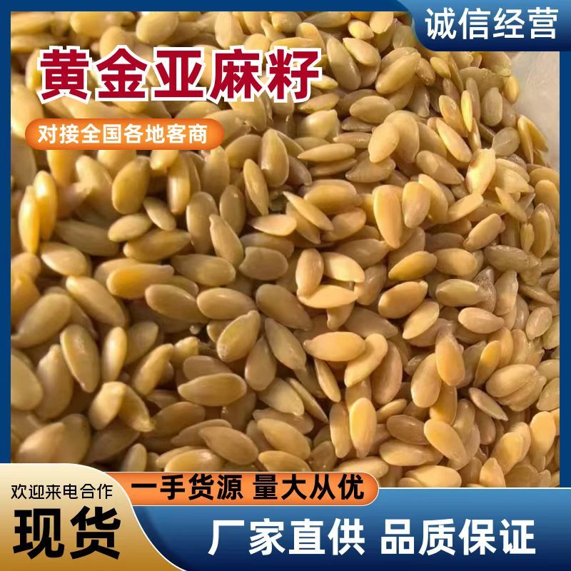 优质黄金亚麻籽一手货源量大从优厂家直供可视频看货