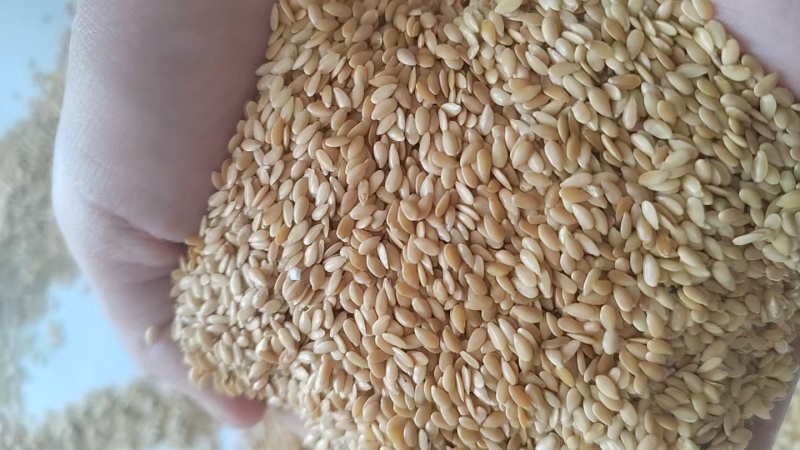 优质黄金亚麻籽一手货源量大从优厂家直供可视频看货