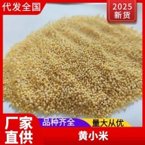 优质推荐黄小米自产自销产地直发一手货源量大从优