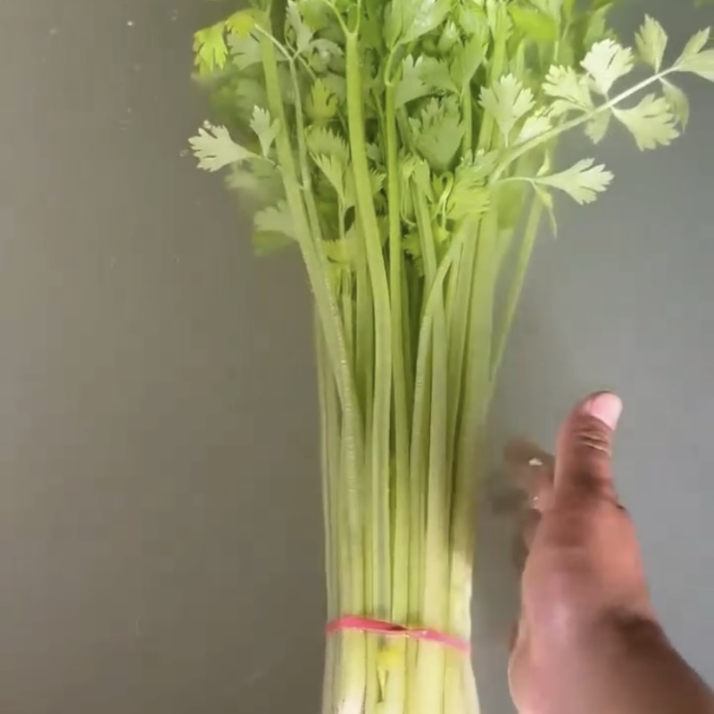 河南焦作小芹菜大量上市品质保证产地批发欢迎来电洽谈