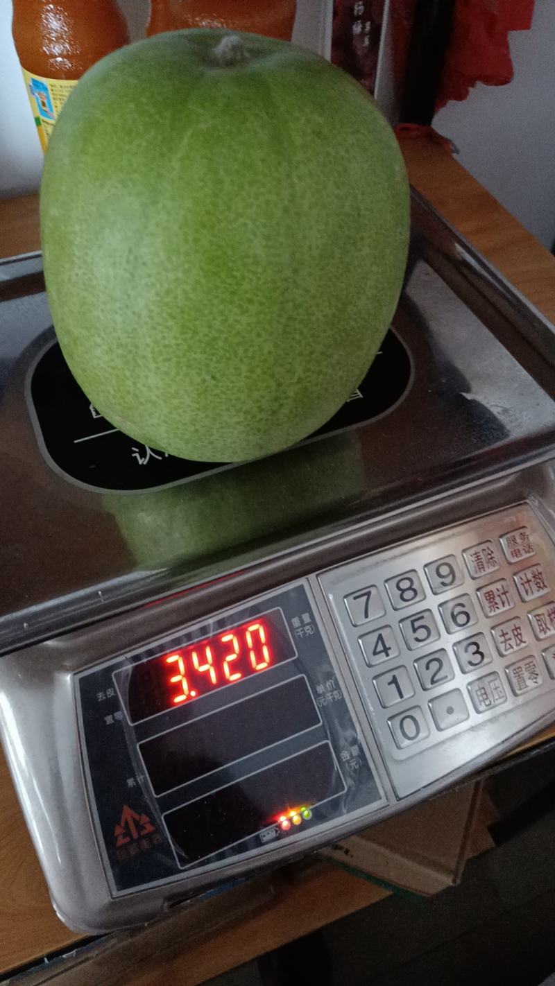 零农残留香芋味小冬瓜广西小冬瓜量大从优欢迎采购