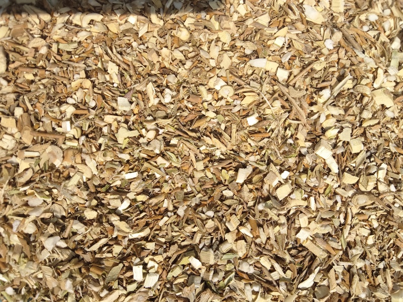 桑枝粉