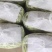 成武九粒白芸豆大量上市中，质优价廉，产地直发