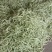 成武九粒白芸豆大量上市中，质优价廉，产地直发