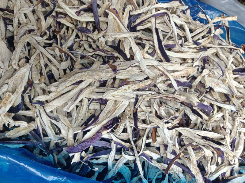 茄子丝货源充足，产地直发，诚信经营，欢迎客商来电