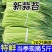 新鲜蒜苔现发嫩蒜苔红帽蒜苔新鲜蒜薹应季蔬菜
