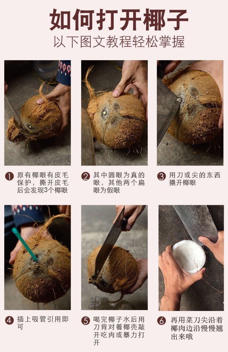一件代发椰子、代理