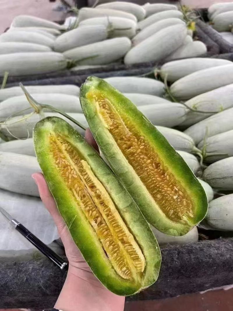 【实力推荐】羊角蜜甜瓜，山东产地直发，量大从优，货源充足
