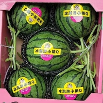 冰淇淋小糖丸西瓜，小吊瓜大量有货，诚信代办，保质保量