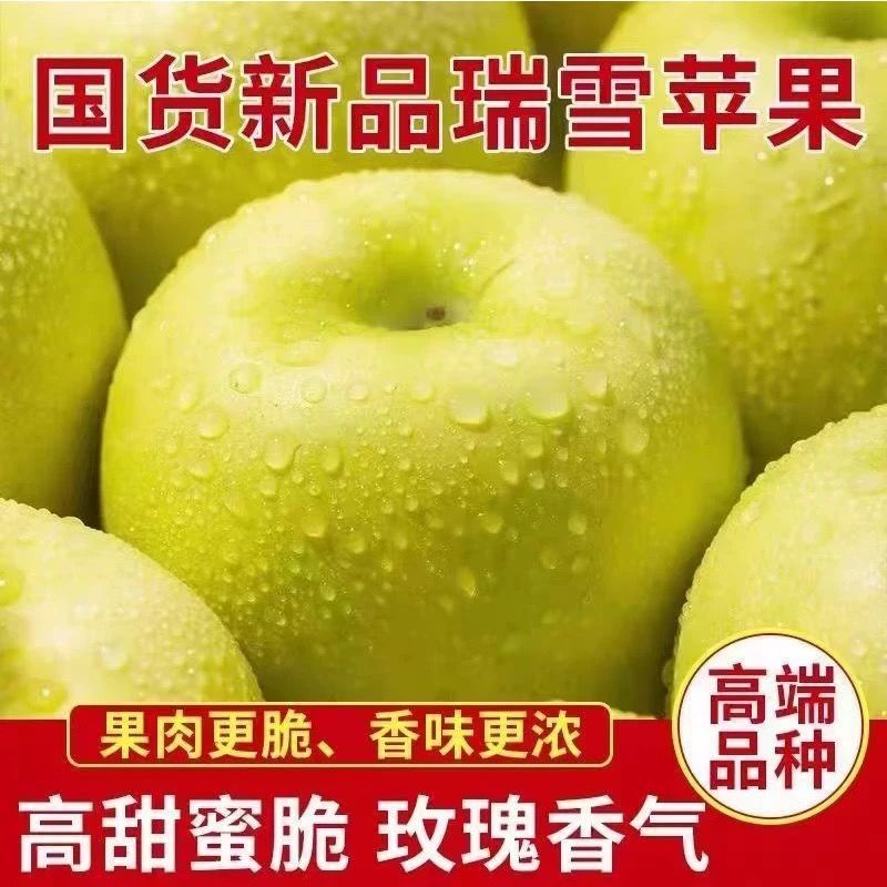 辽宁绥中瑞雪苹果，口感好，果型正，基地直发对接全国